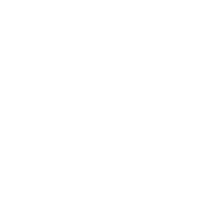 Alternate Text